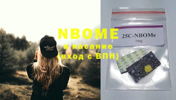 дживик Белая Холуница